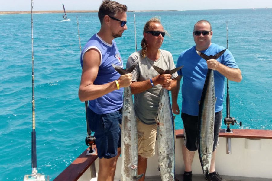 Scuba Diving Charter in Boyton Beach